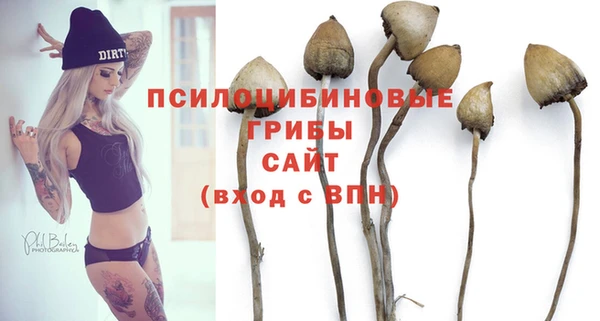 a pvp Алексин