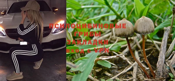 a pvp Алексин