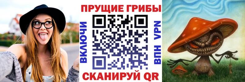 Галлюциногенные грибы GOLDEN TEACHER  Печоры 